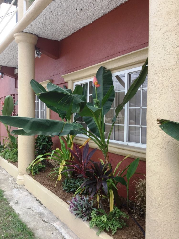 Inn Flight Suites Piarco Ngoại thất bức ảnh